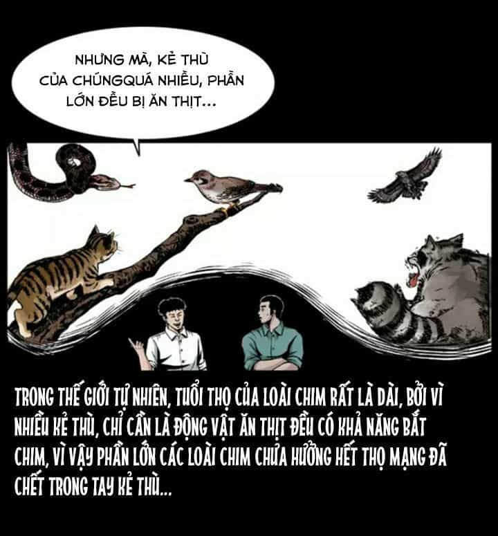 U Minh Ngụy Tượng - Chương 38 - ảnh 8