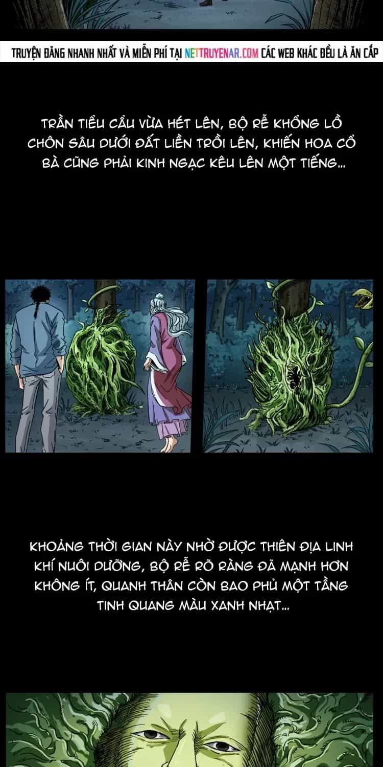 U Minh Ngụy Tượng - Chương 571 - ảnh 4