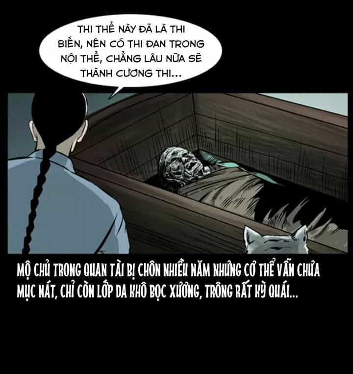 U Minh Ngụy Tượng - Chương 51 - ảnh 65