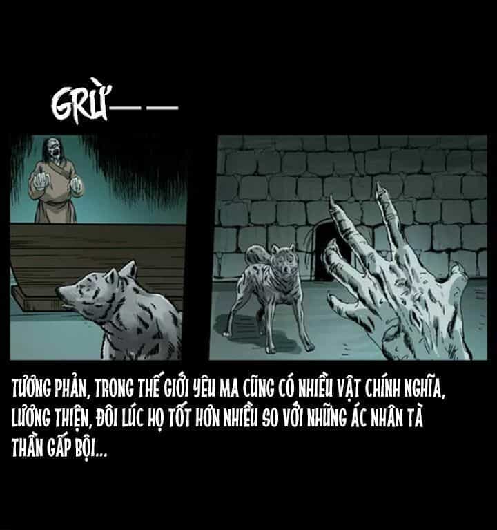 U Minh Ngụy Tượng - Chương 51 - ảnh 69