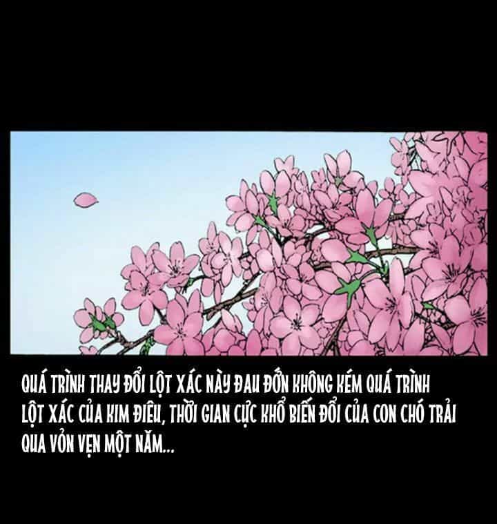 U Minh Ngụy Tượng - Chương 51 - ảnh 75