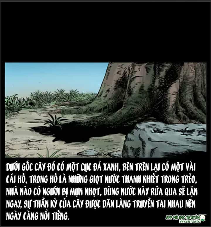U Minh Ngụy Tượng - Chương 8 - ảnh 13