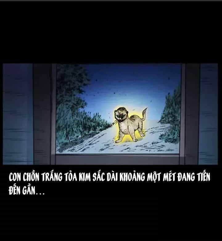 U Minh Ngụy Tượng - Chương 66 - ảnh 37