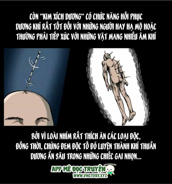 U Minh Ngụy Tượng - Chương 9 - ảnh 53