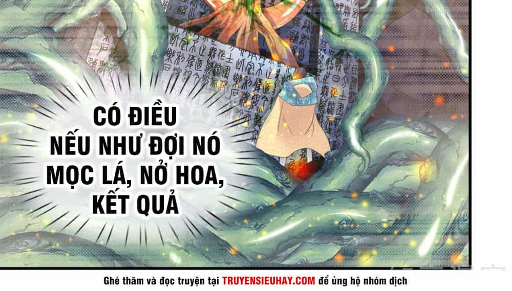 Vạn Cổ Thần Vương - Chương 31 - ảnh 6