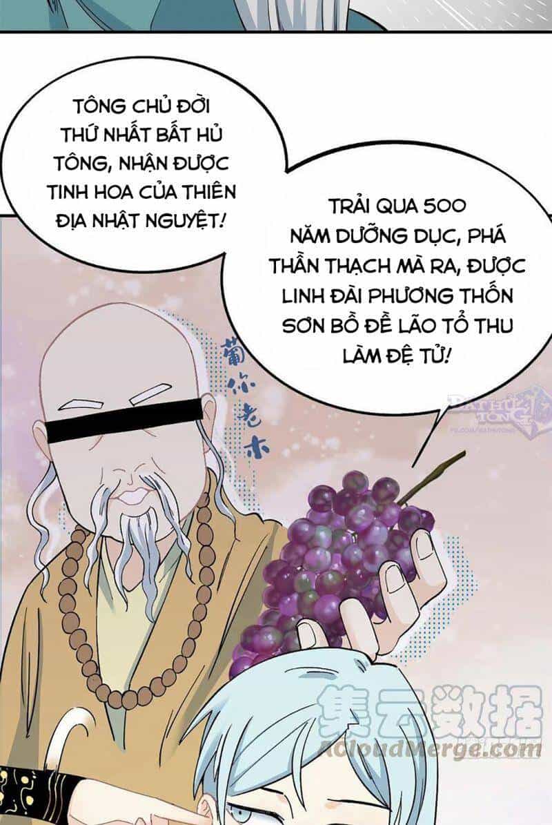Vạn Cổ Tối Cường Tông - Chương 8 - ảnh 29