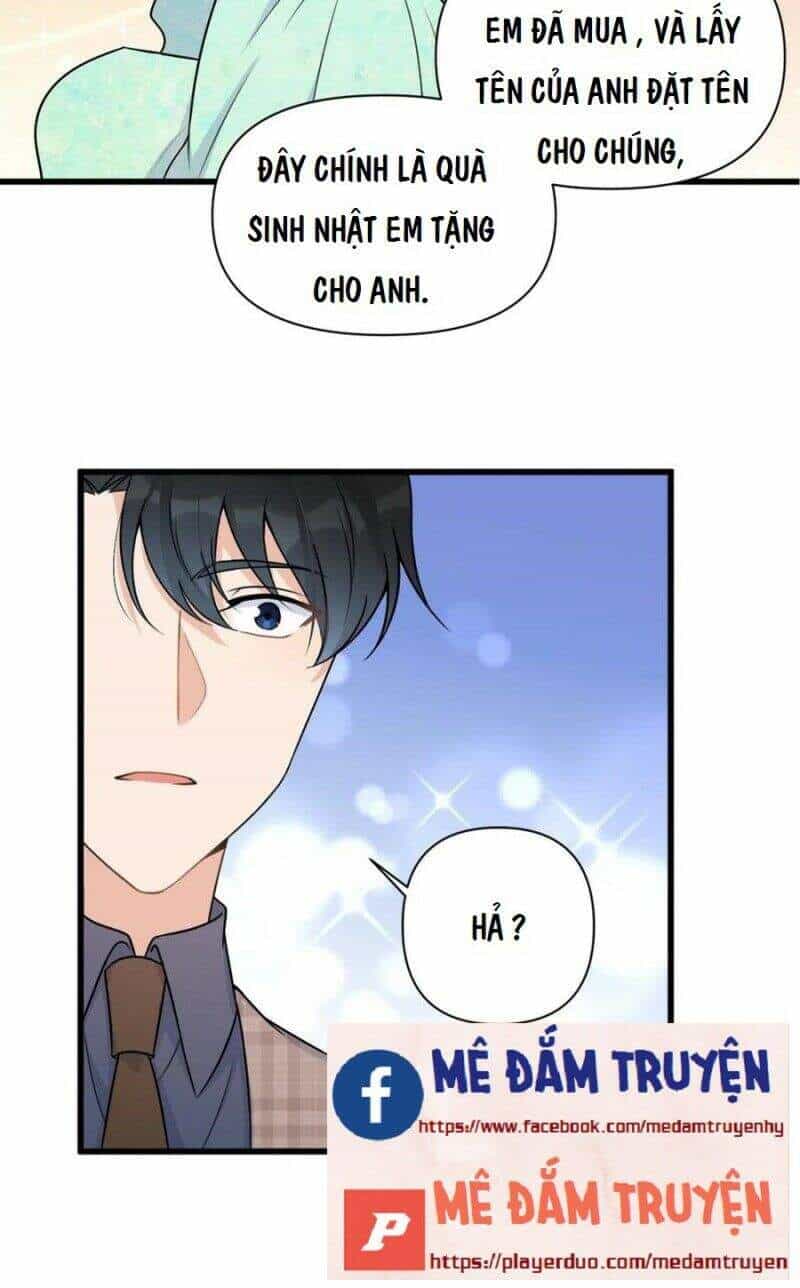 Vẫn Cứ Nhớ Em, Nhớ Em - Chương 45 - ảnh 18