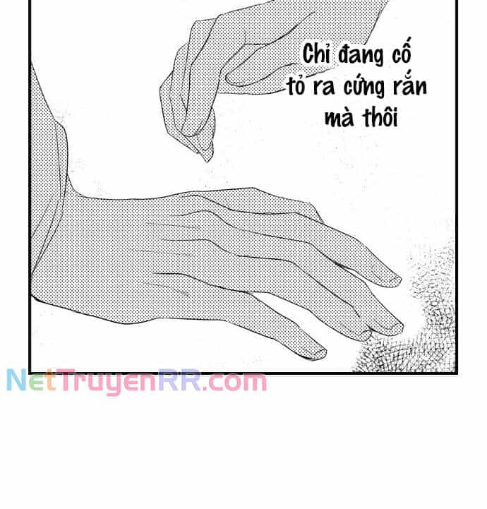 Ván Cược Tình Ái - Chương 27 - ảnh 11