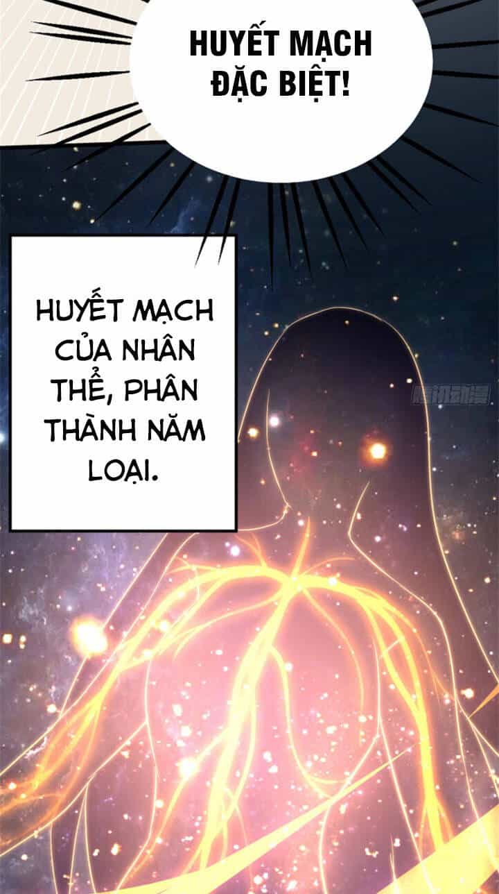 Vạn Đạo Long Hoàng - Chương 15 - ảnh 31