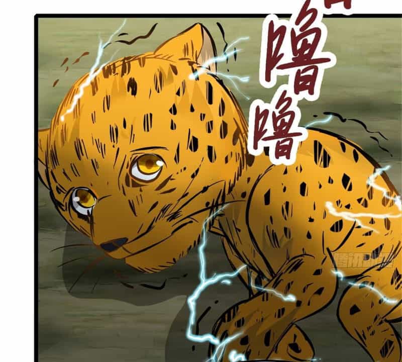 Vạn Đạo Long Hoàng - Chương 22 - ảnh 49