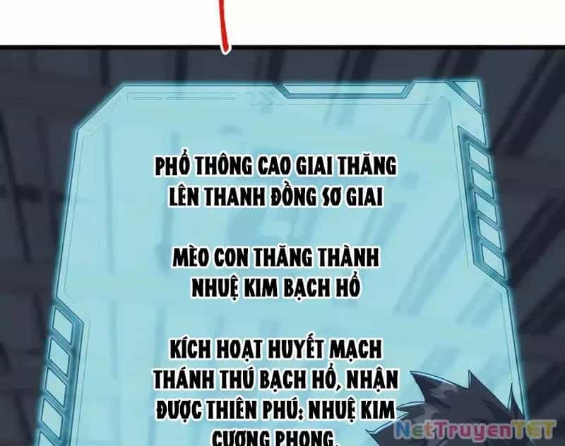 Vạn Tộc Xâm Lược :Mở Đầu Thuần Hóa Cự Thú Cấp Sử Thi - Chương 13 - ảnh 102