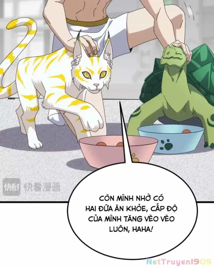Vạn Tộc Xâm Lược :Mở Đầu Thuần Hóa Cự Thú Cấp Sử Thi - Chương 23 - ảnh 11