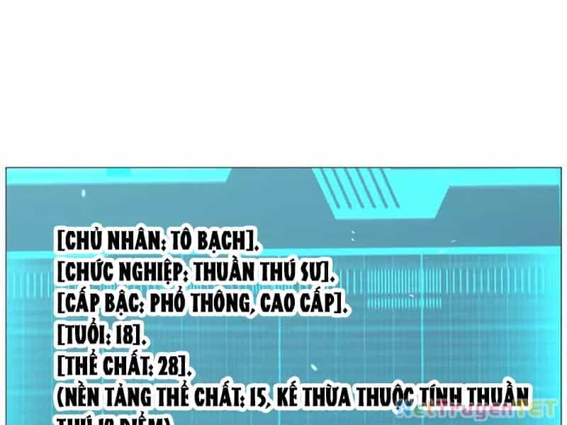 Vạn Tộc Xâm Lược :Mở Đầu Thuần Hóa Cự Thú Cấp Sử Thi - Chương 4 - ảnh 80