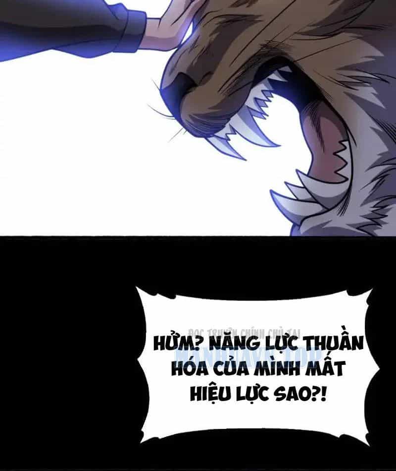 Vạn Tộc Xâm Lược: Thiên Hạ Tham Chiến, Ta Trấn Thủ Hậu Phương - Chương 70 - ảnh 31