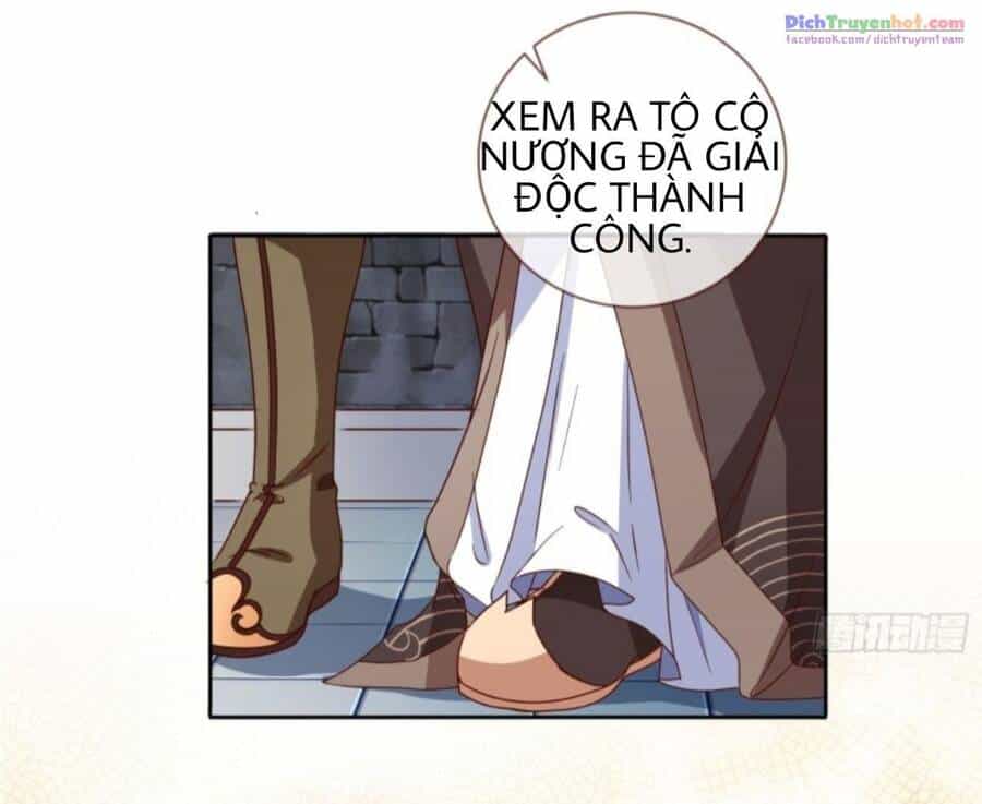 Vạn Tra Triêu Hoàng - Chương 242 - ảnh 21