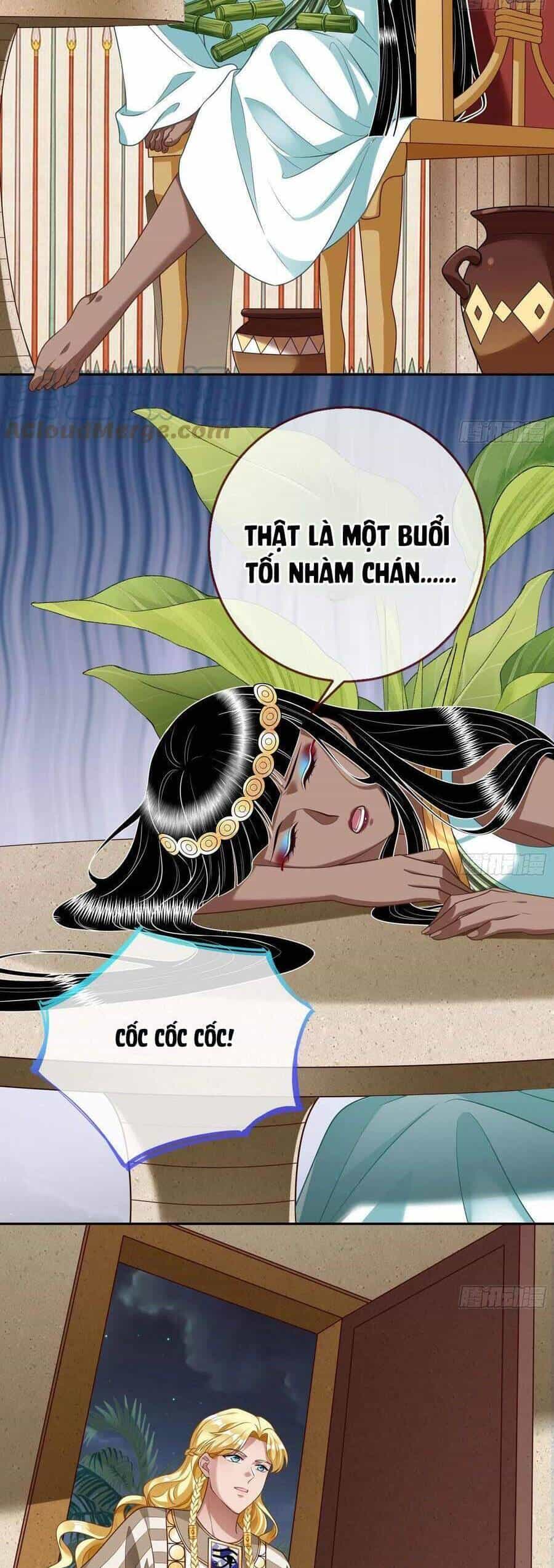 Vạn Tra Triêu Hoàng - Chương 515 - ảnh 22