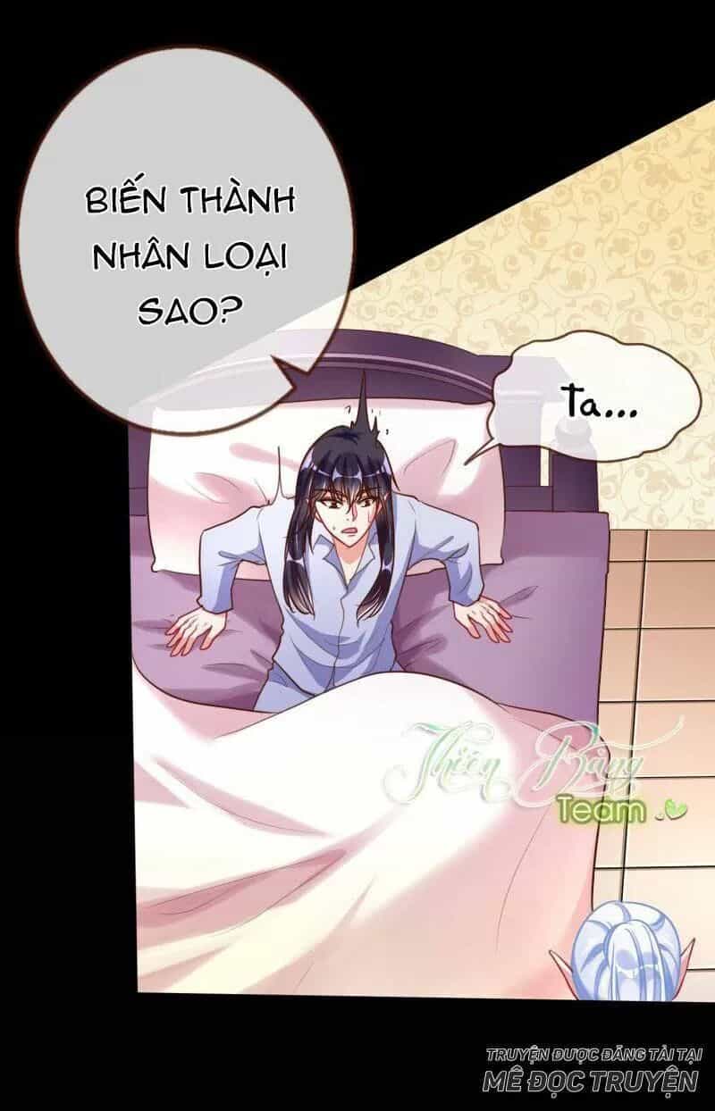 Vạn Tra Triêu Hoàng - Chương 58 - ảnh 41