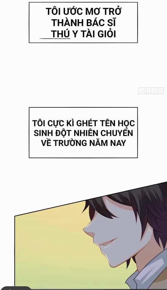 Vật Nuôi Đáng Yêu: Mèo Cỏ Của Tôi - Chương 0 - ảnh 14