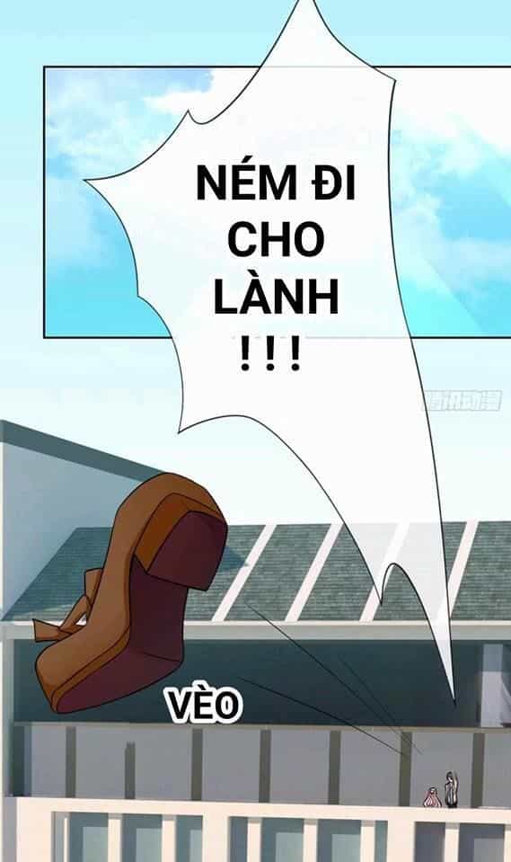Vật Nuôi Đáng Yêu: Mèo Cỏ Của Tôi - Chương 0 - ảnh 19