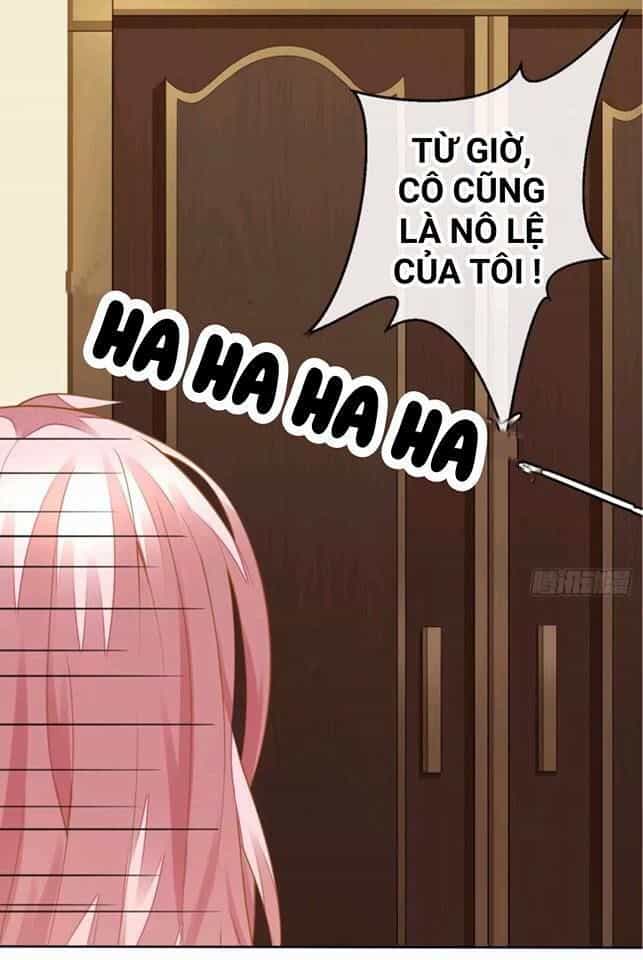 Vật Nuôi Đáng Yêu: Mèo Cỏ Của Tôi - Chương 0 - ảnh 23