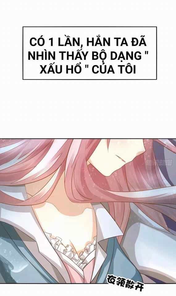 Vật Nuôi Đáng Yêu: Mèo Cỏ Của Tôi - Chương 0 - ảnh 27