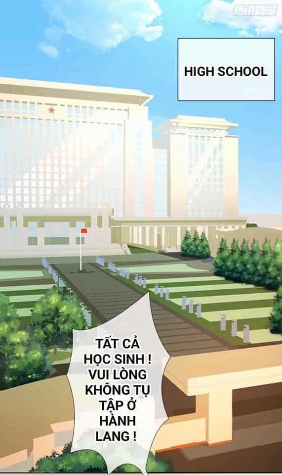 Vật Nuôi Đáng Yêu: Mèo Cỏ Của Tôi - Chương 1 - ảnh 29