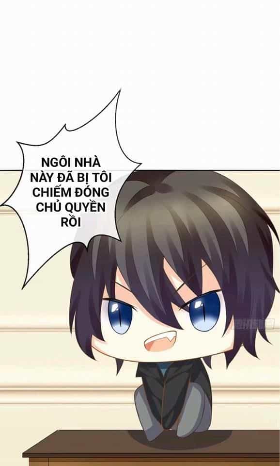 Vật Nuôi Đáng Yêu: Mèo Cỏ Của Tôi - Chương 1.5 - ảnh 57