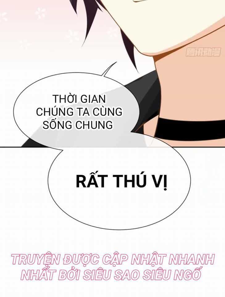 Vật Nuôi Đáng Yêu: Mèo Cỏ Của Tôi - Chương 1.5 - ảnh 78