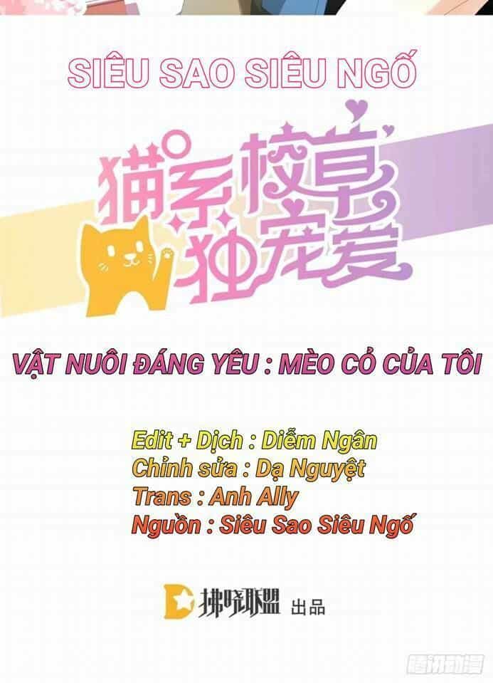 Vật Nuôi Đáng Yêu: Mèo Cỏ Của Tôi - Chương 2 - ảnh 1