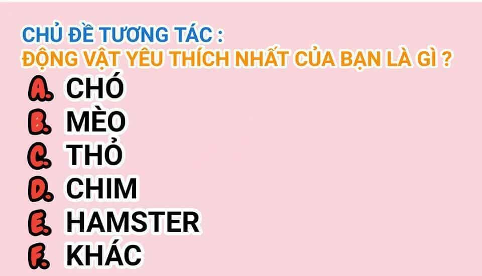 Vật Nuôi Đáng Yêu: Mèo Cỏ Của Tôi - Chương 2 - ảnh 65