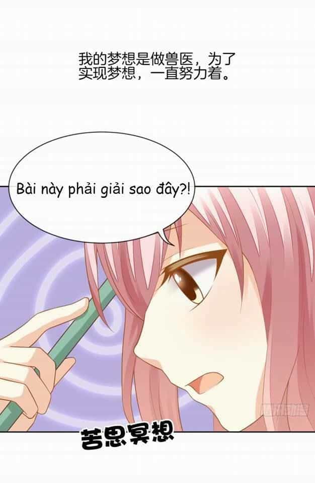 Vật Nuôi Đáng Yêu: Mèo Cỏ Của Tôi - Chương 3 - ảnh 11