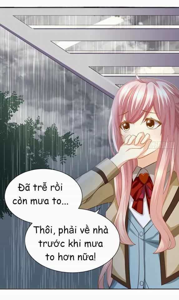 Vật Nuôi Đáng Yêu: Mèo Cỏ Của Tôi - Chương 3 - ảnh 17