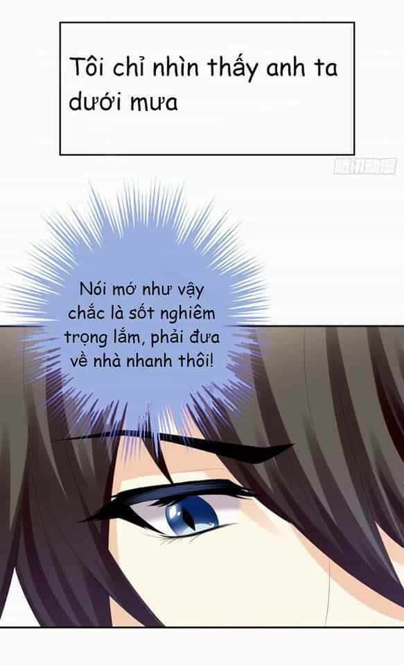 Vật Nuôi Đáng Yêu: Mèo Cỏ Của Tôi - Chương 3 - ảnh 54