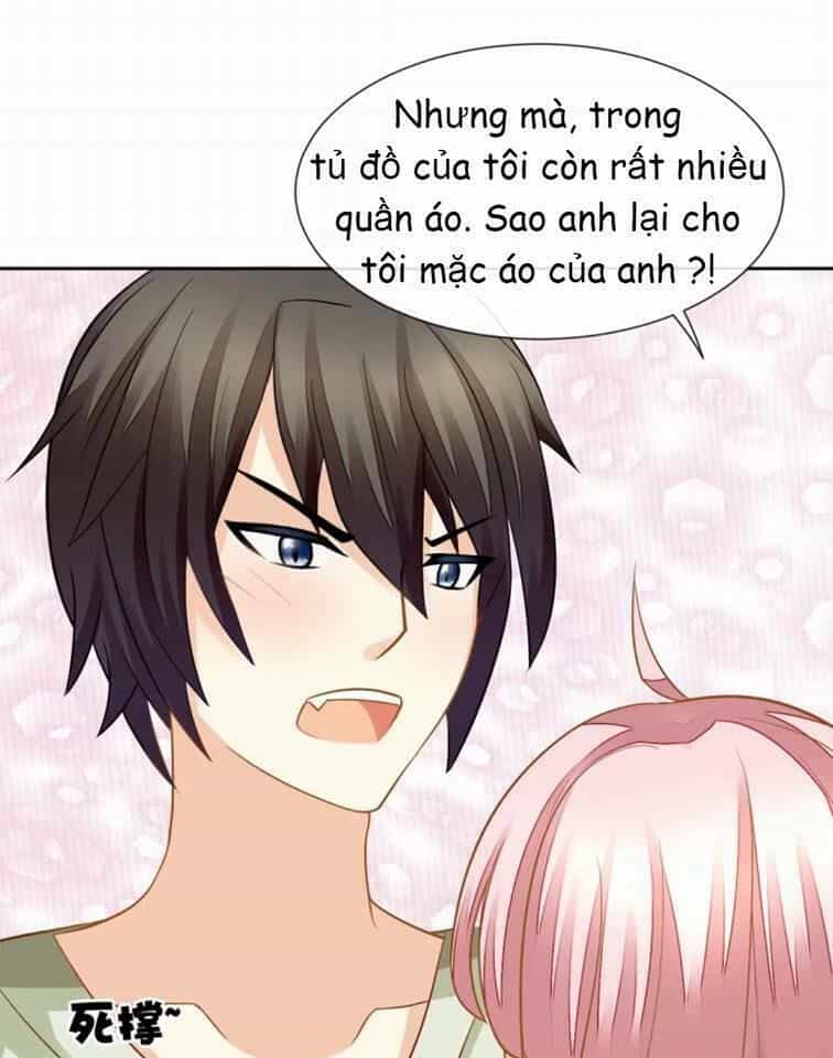 Vật Nuôi Đáng Yêu: Mèo Cỏ Của Tôi - Chương 4 - ảnh 22