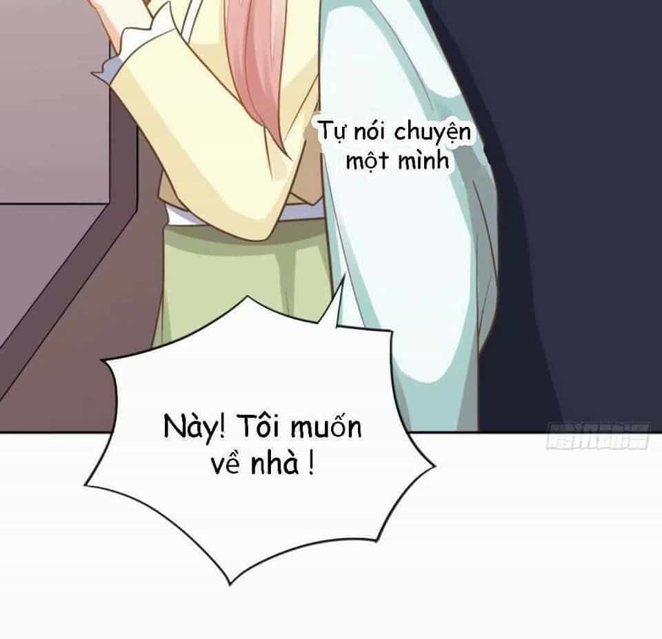 Vật Nuôi Đáng Yêu: Mèo Cỏ Của Tôi - Chương 4 - ảnh 32