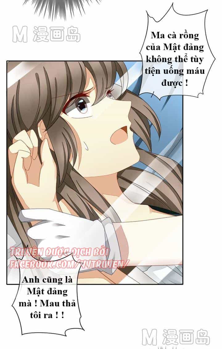 Vị Hôn Thê Bỏ Trốn - Chương 28 - ảnh 2