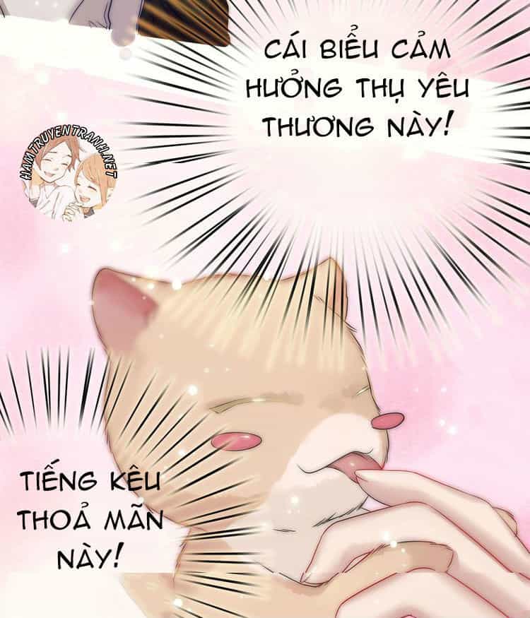 Viện Bảo Tàng Tâm Nguyện - Chương 2.1 - ảnh 21