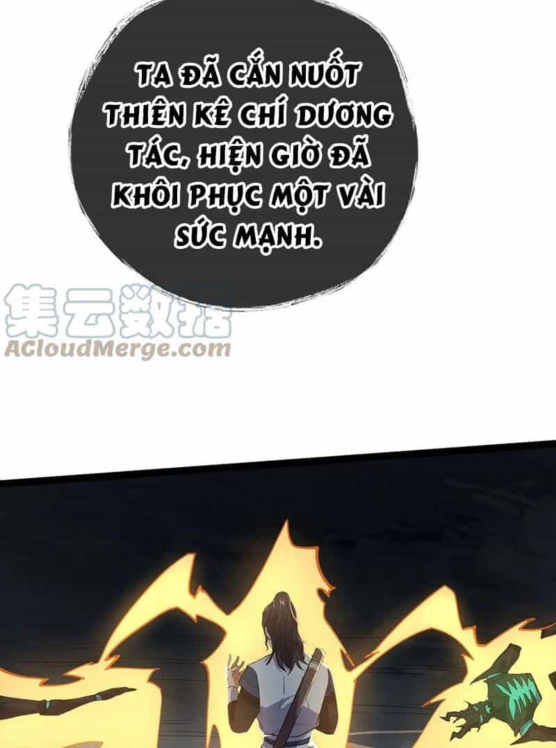 Vĩnh Sinh - Chương 24 - ảnh 18