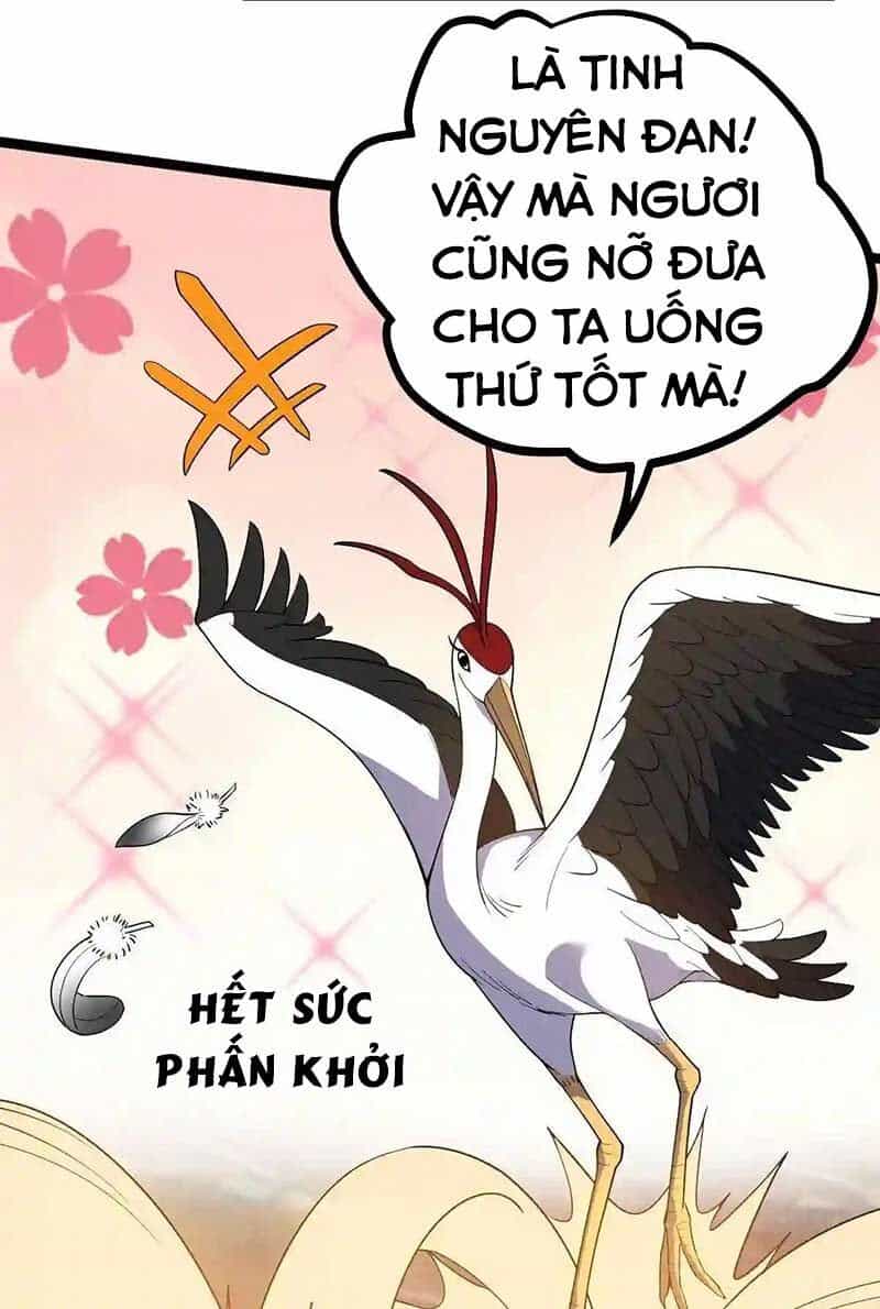 Vĩnh Sinh - Chương 41 - ảnh 37