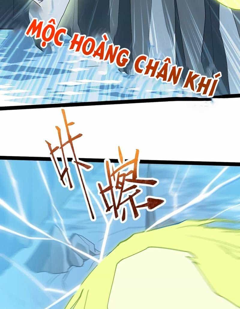 Vĩnh Sinh - Chương 63 - ảnh 35