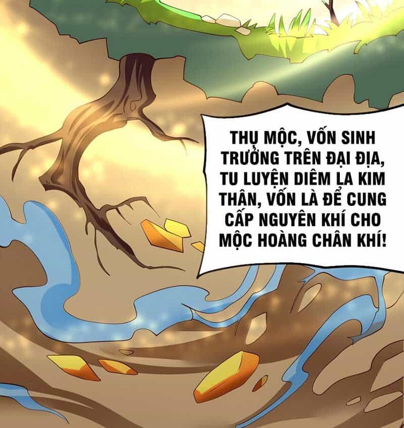 Vĩnh Sinh - Chương 70 - ảnh 34