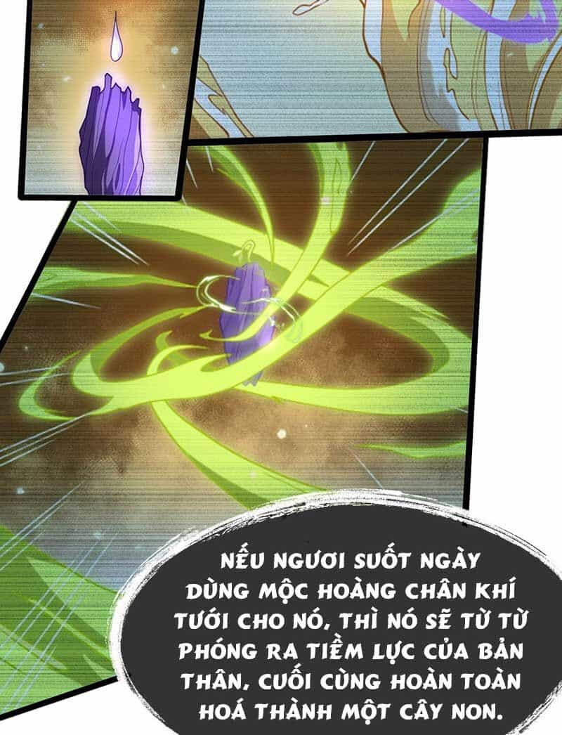 Vĩnh Sinh - Chương 74 - ảnh 13