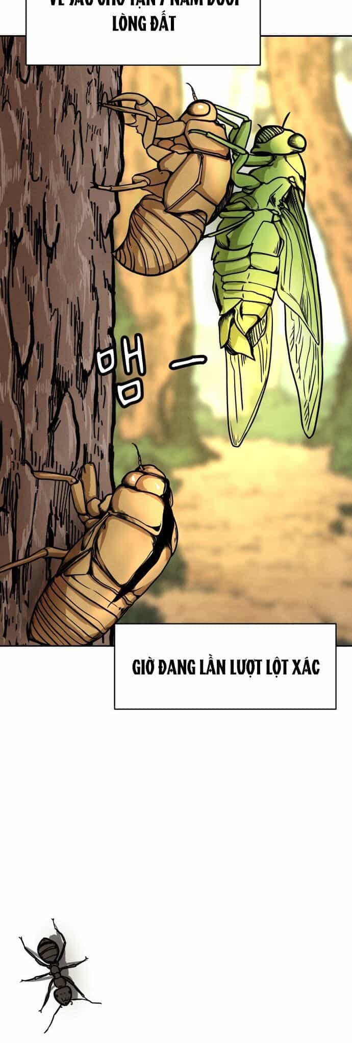 Vỏ Bọc - Chương 2 - ảnh 3