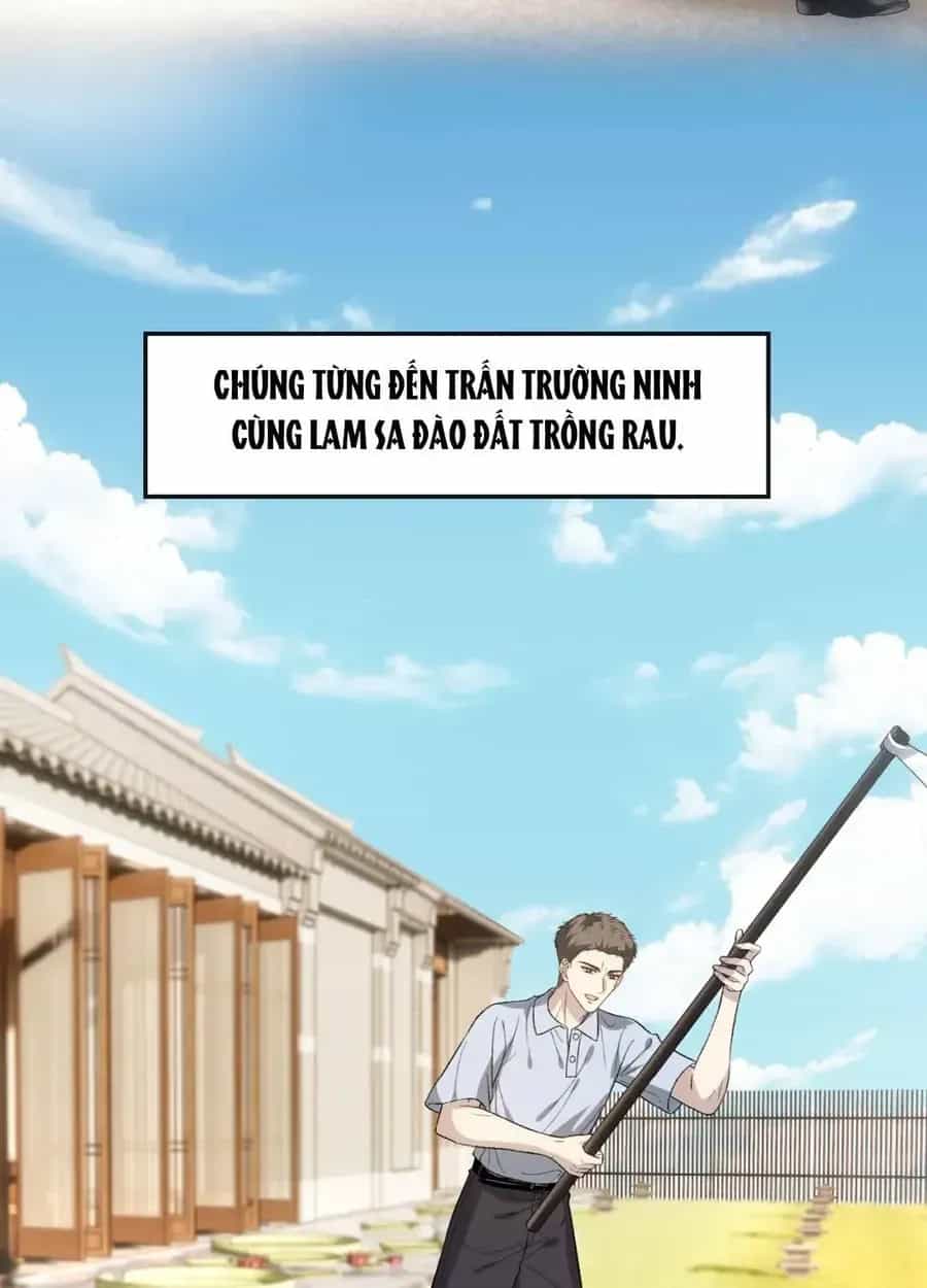Vợ Của Lục Tổng Không Phải Dạng Vừa - Chương 264 - ảnh 5
