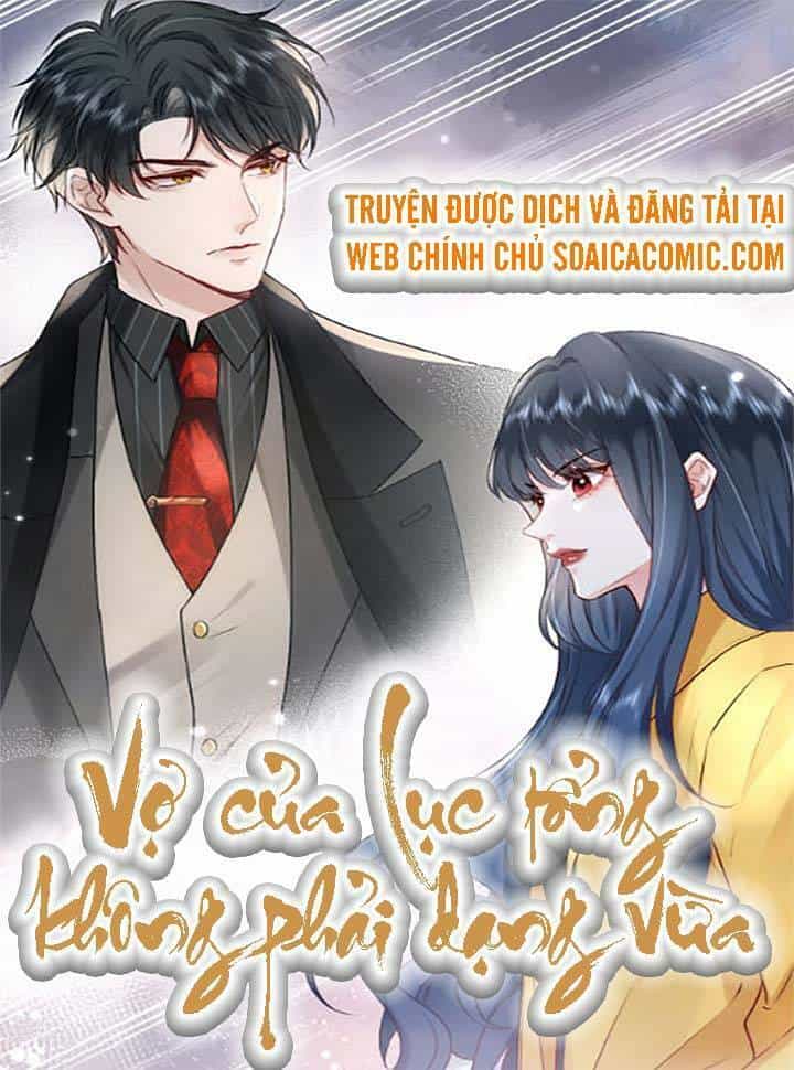 Vợ Của Lục Tổng Không Phải Dạng Vừa - Chương 2 - ảnh 1