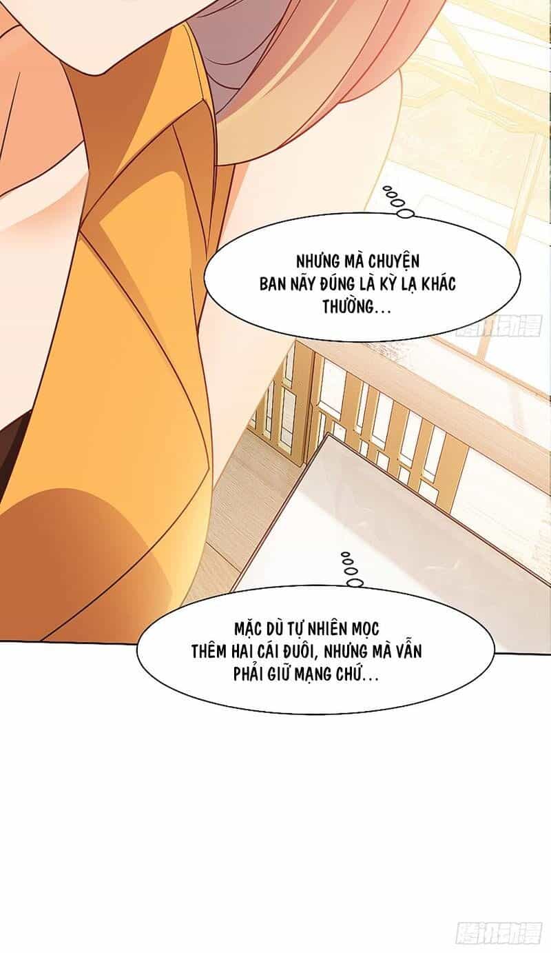 Vợ Của Tôi Là Quỷ Vương - Chương 54 - ảnh 24