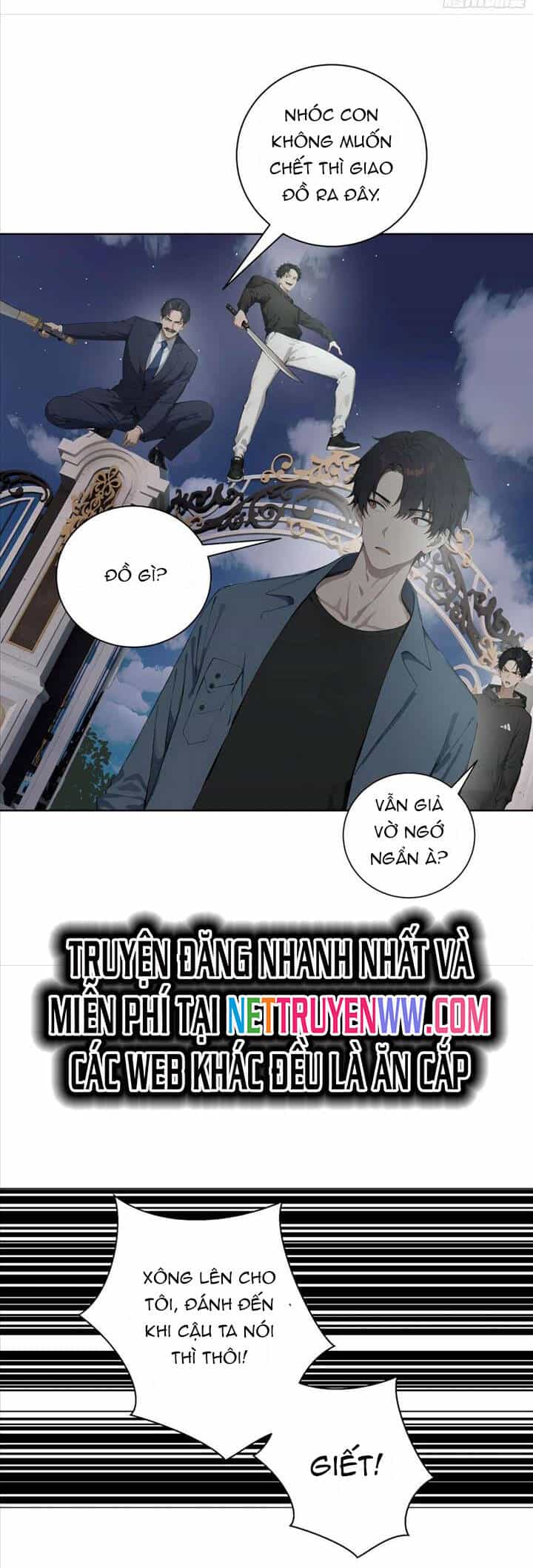 Vô Địch Bắt Đầu Từ Trúc Cơ - Chương 6 - ảnh 31