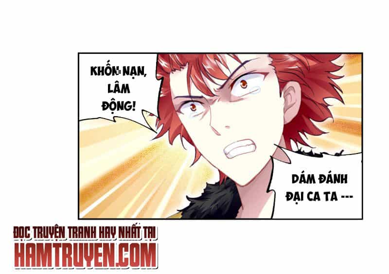 Võ Động Càn Khôn - Chương 117 - ảnh 20