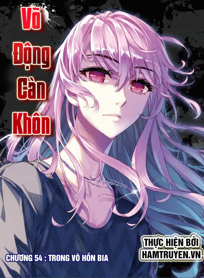Võ Động Càn Khôn - Chương 54 - ảnh 1