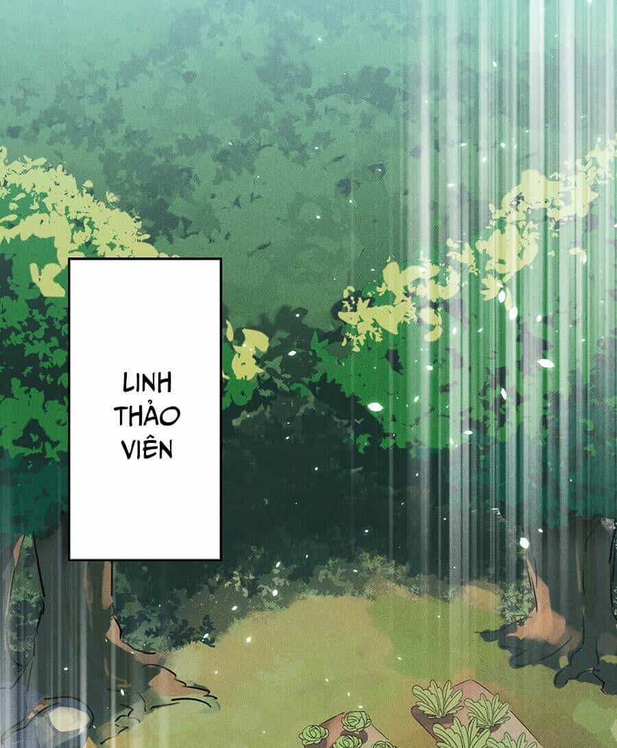 Võ Lâm Đệ Nhất Đầu Bếp - Chương 38.1 - ảnh 41